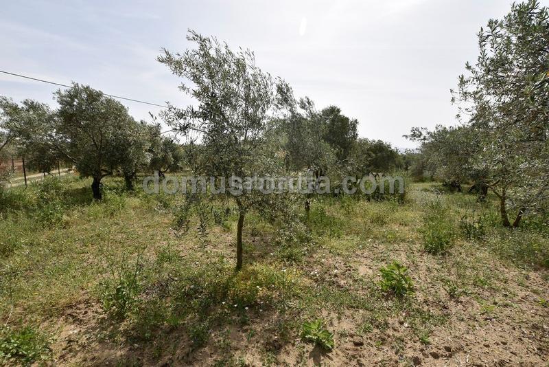 Foto bf20cb71-07f4-4385-b370-0ae577fefb00. Mas avec piscine dans Casco Histórico Ronda