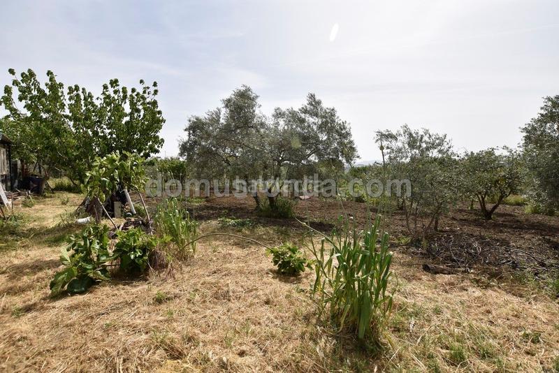 Foto d8cc9b76-e3f2-4703-b0cd-18d6ac02ccf6. Mas avec piscine dans Casco Histórico Ronda