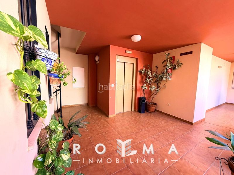 Foto 0583d5f6-ad1c-48e2-a2fe-75150f1f1d1a. Pis a Centro Alcalá de Guadaira