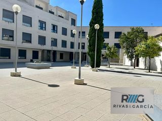 Pis a Divina Pastora - La Yeguada