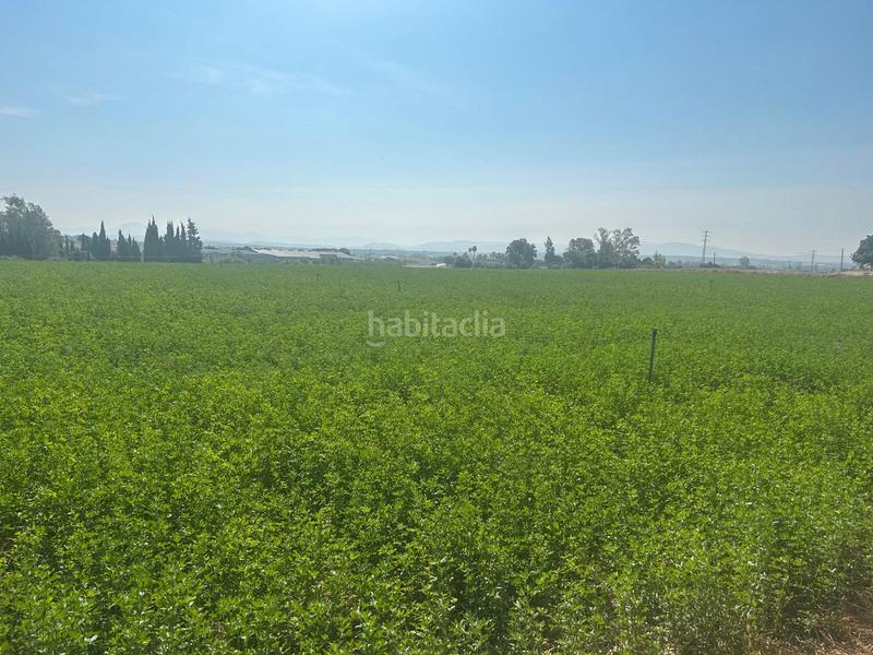 Foto 20601d3d-d5b1-443f-af88-3c2adb3f72f6. Fondo rustico in Parque Atlántico - Ronda este Jerez de la Frontera