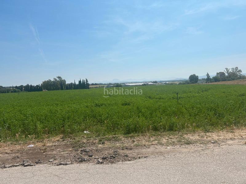 Foto 2d7309f9-99f1-421c-be03-08161ff6a60e. Fondo rustico in Parque Atlántico - Ronda este Jerez de la Frontera