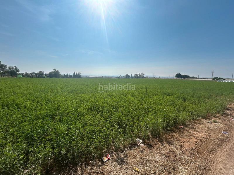 Foto 44a9ce92-b38f-41ba-a4b5-7516c1a426cc. Fondo rustico in Parque Atlántico - Ronda este Jerez de la Frontera