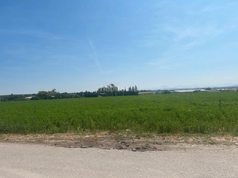 Foto 51542f98-af71-4fe2-b84e-cf6171f91aba. Fondo rustico in Parque Atlántico - Ronda este Jerez de la Frontera