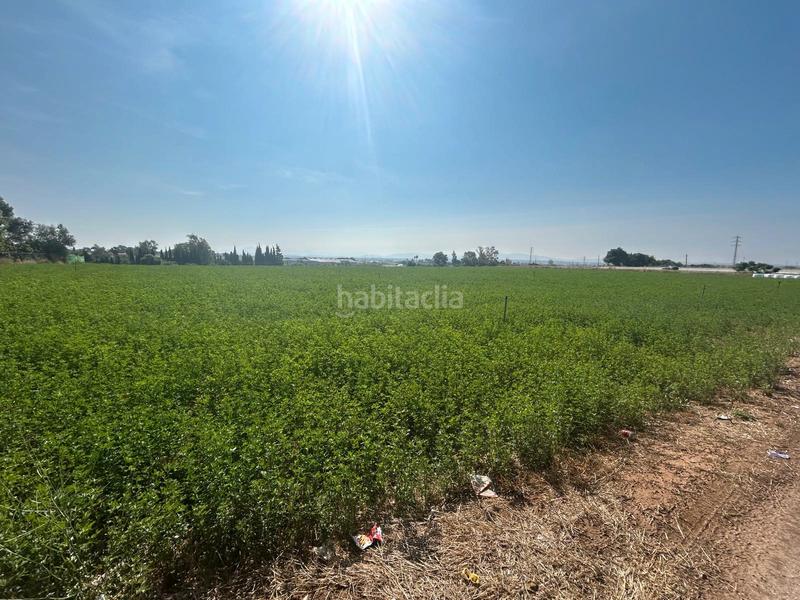 Foto 56840e63-654c-4de2-8a3d-1d12499b822e. Fondo rustico in Parque Atlántico - Ronda este Jerez de la Frontera