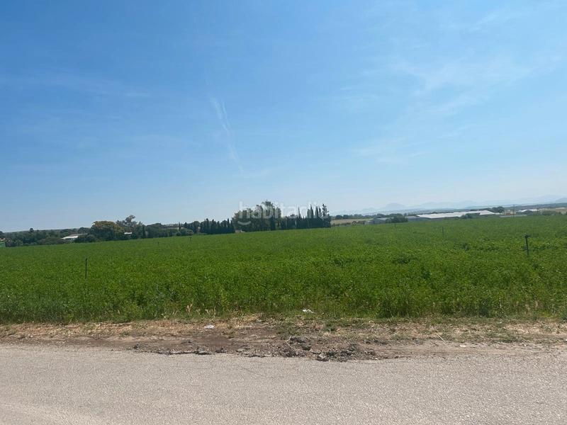 Foto 8dd570c4-de0b-47d8-aa7d-da789eb56148. Fondo rustico in Parque Atlántico - Ronda este Jerez de la Frontera