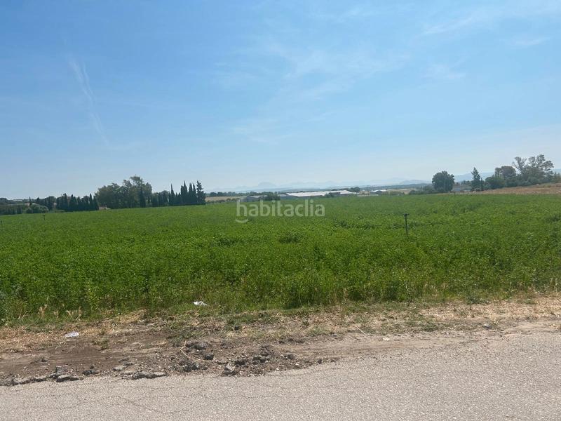 Foto bdc3f2e6-53df-4126-9a8d-c6338afcedeb. Fondo rustico in Parque Atlántico - Ronda este Jerez de la Frontera