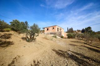 Finca rústica a Coín. Terreno rústico de 3.750 metros, con casa de apero, olivares y e