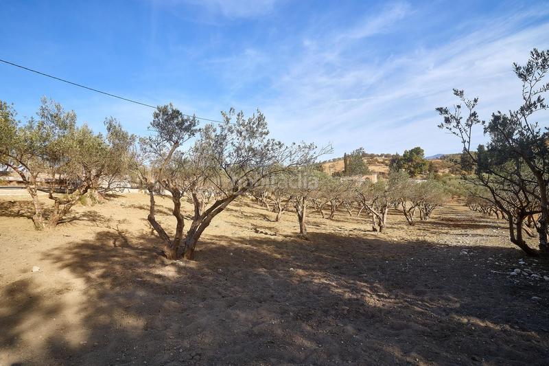 Foto 4840370c-f39c-4d2e-8588-2b1d530ee921. Finca rústica terreno rústico de 3.750 metros, con casa de apero, olivares y edificación sin terminar. en Coín