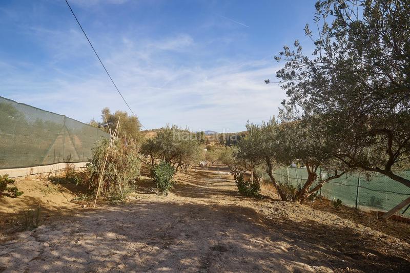 Foto 8016ada3-bc5f-4998-a467-270420aae367. Finca rústica terreno rústico de 3.750 metros, con casa de apero, olivares y edificación sin terminar. en Coín