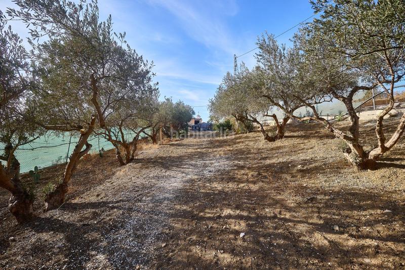 Foto 9814f8ee-9767-4a82-ade8-2aa23429dd07. Finca rústica terreno rústico de 3.750 metros, con casa de apero, olivares y edificación sin terminar. en Coín