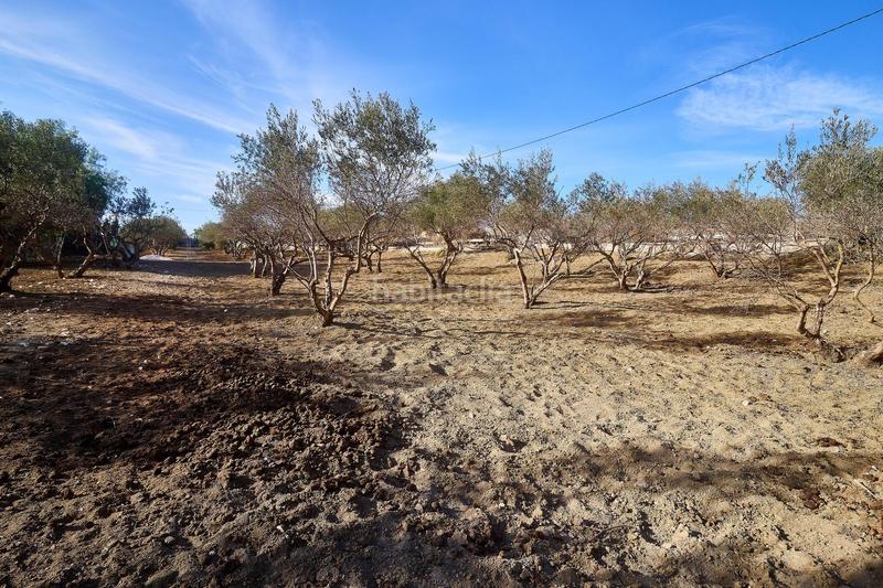 Foto c668efff-82a0-4ce9-940b-84a408007e62. Finca rústica terreno rústico de 3.750 metros, con casa de apero, olivares y edificación sin terminar. en Coín