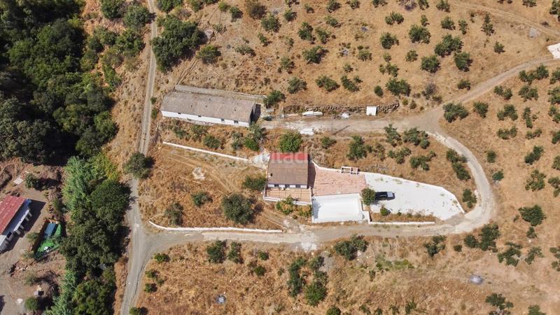 Foto 148b949b-8a43-4085-b2d3-d10d29b37c5c. Fondo rustico in Guaro