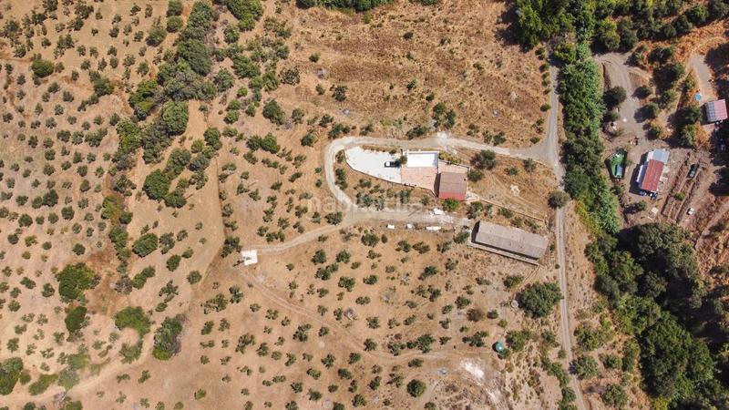 Foto 3e747020-23ac-4392-a8d0-c4d7f047ce32. Fondo rustico in Guaro