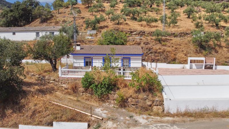 Foto 3ef0e0e8-3eb9-4d1d-a166-c16c36539e4e. Fondo rustico in Guaro