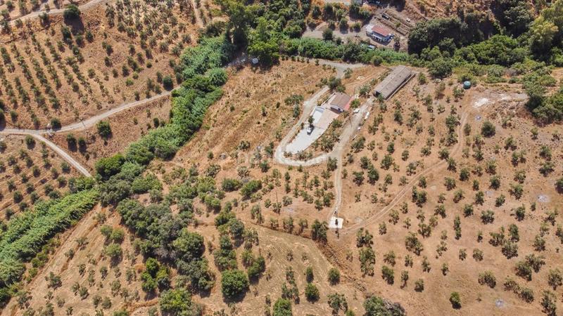 Foto 67e80b93-ad16-4b51-a9e6-9c95ae23d000. Fondo rustico in Guaro