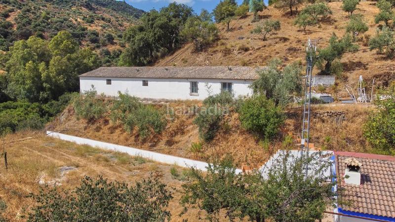 Foto 709c4586-ce9e-425e-9fe7-0bf071655411. Fondo rustico in Guaro