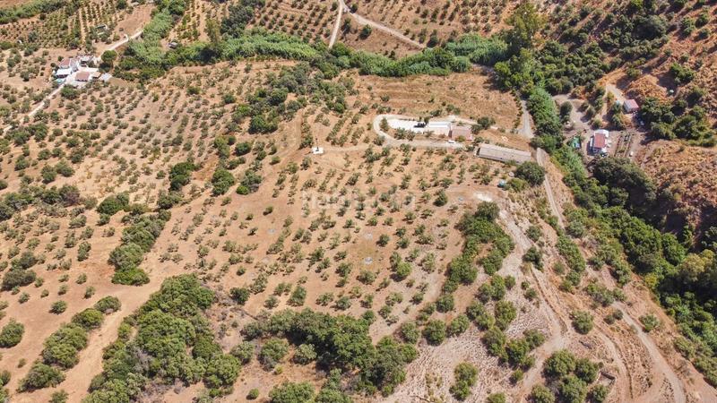 Foto c4342d70-2b2f-45b1-acc7-f8a8e01ba541. Fondo rustico in Guaro