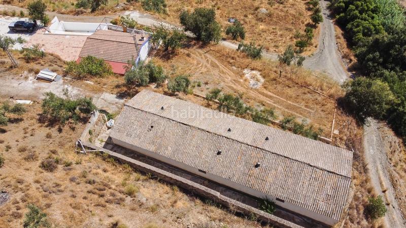 Foto c5b11466-4b80-4f27-b784-cfd6d2ad6b6c. Fondo rustico in Guaro