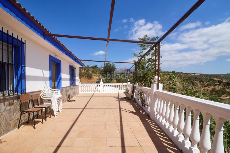 Foto c75bf4de-92d4-4946-b55c-e5a21e91c9f3. Fondo rustico in Guaro