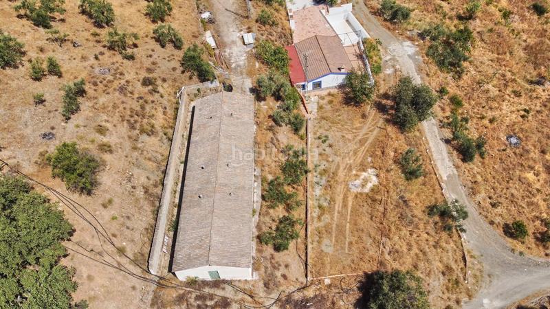 Foto ce1d9d07-d828-4b41-9aa7-caaf563e5b0d. Fondo rustico in Guaro