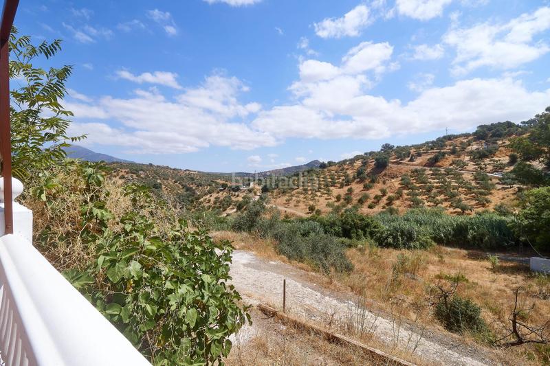 Foto d2fe8d32-7b2c-402a-9f7a-91c96006e72c. Fondo rustico in Guaro