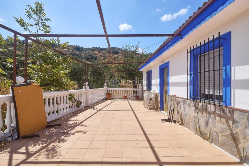 Foto ea518f97-8ccc-4d39-b35f-14a25bb8e08b. Fondo rustico in Guaro