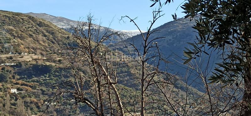 Foto 3cca2b38-b79a-439e-87d9-c9f66d4e866e. Rural plot in el sotillejo in Güéjar Sierra