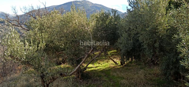 Foto 53760a30-04f7-4b2d-bd4f-5da7ea61959d. Rural plot in el sotillejo in Güéjar Sierra