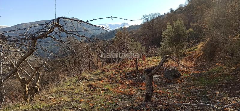 Foto 7b157ce7-744c-47a7-b065-ade64ae9cc6f. Rural plot in el sotillejo in Güéjar Sierra