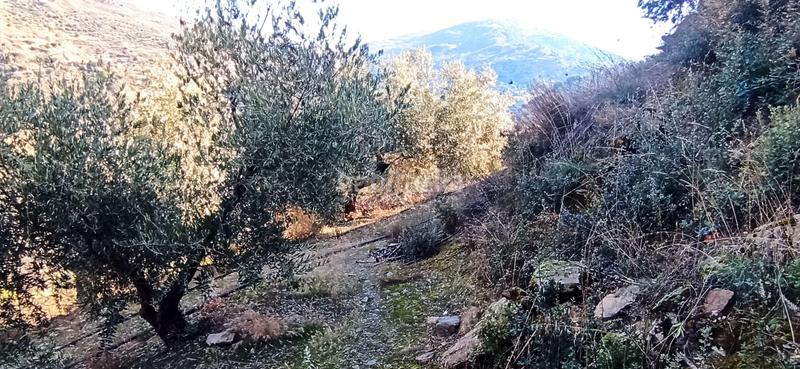 Foto 9397e5db-0ebd-4a4e-aaf0-147db3ca4301. Rural plot in el sotillejo in Güéjar Sierra