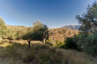 Fondo rustico in C. real, 19, 18410 carataunas, granada, spain 1. Olivar en carataunas con fuente natural y abundante agua de rieg