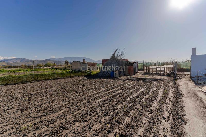 Foto 376f8c4f-36fc-476a-9b93-9bc21b3ccd86. Fondo rustico in cam. de rio seco 1 in Centro Salobreña