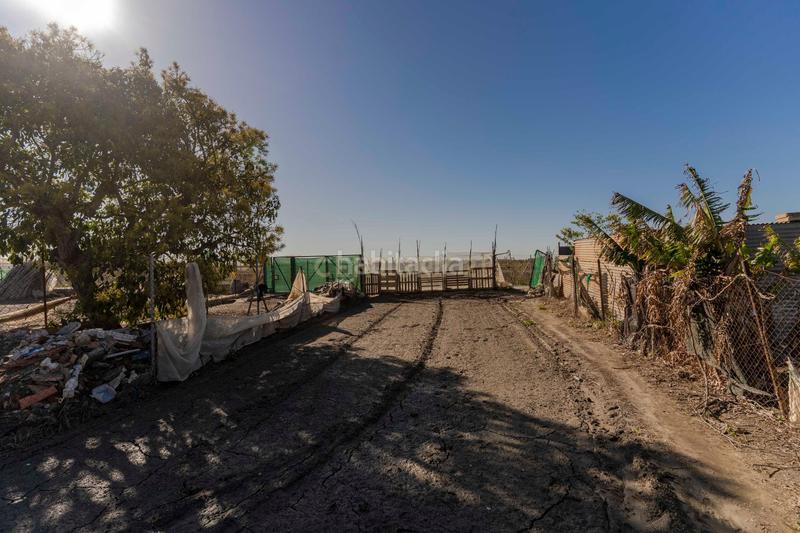 Foto 50bf3ddf-c777-4ff8-a1b7-4302e2b49bc1. Fondo rustico in cam. de rio seco 1 in Centro Salobreña