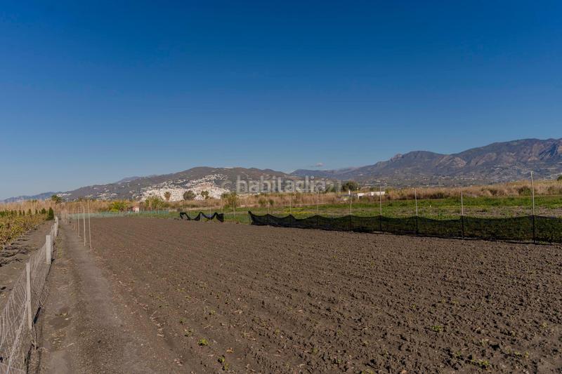 Foto 6b7be90a-92d6-4117-b7aa-bf9eacc1162c. Fondo rustico in cam. de rio seco 1 in Centro Salobreña