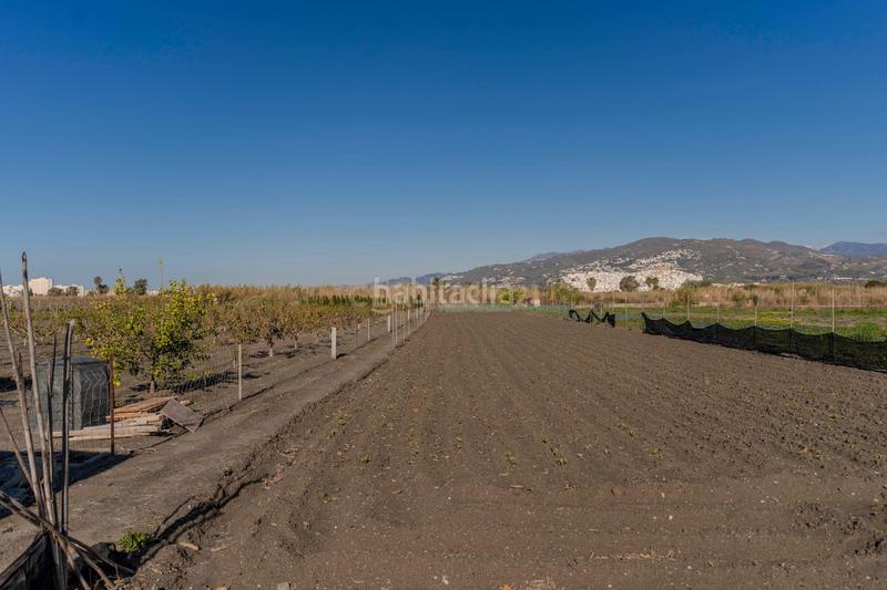 Foto 9deb1cff-7f92-45df-800b-1f00d4621ea0. Fondo rustico in cam. de rio seco 1 in Centro Salobreña