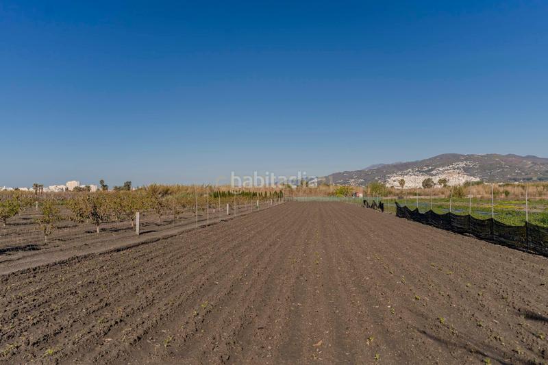 Foto b32816d1-ffea-4858-ab33-fd6a84f393ec. Fondo rustico in cam. de rio seco 1 in Centro Salobreña