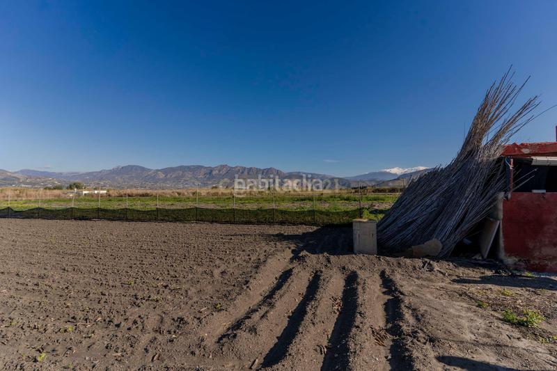 Foto c177d3cf-87ea-4243-bf6e-008ced1ad3ef. Fondo rustico in cam. de rio seco 1 in Centro Salobreña