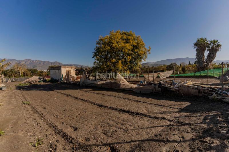 Foto f62e5995-63ce-404c-a42d-2dcb23466e53. Fondo rustico in cam. de rio seco 1 in Centro Salobreña