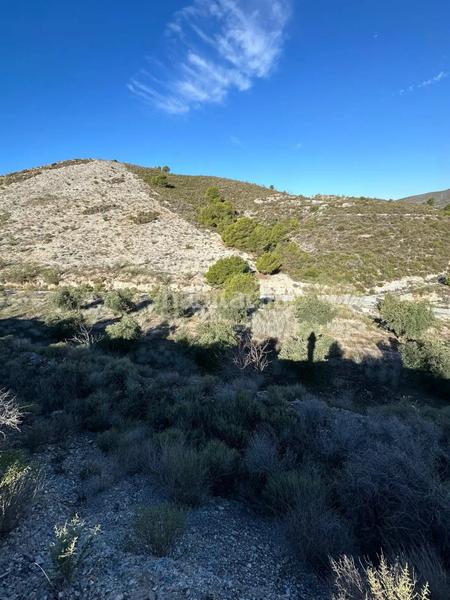 Foto 0dba6929-048c-4045-850d-0c11ae6980b7. Landgut in polígono 13 parcela 750 in Vélez de Benaudalla