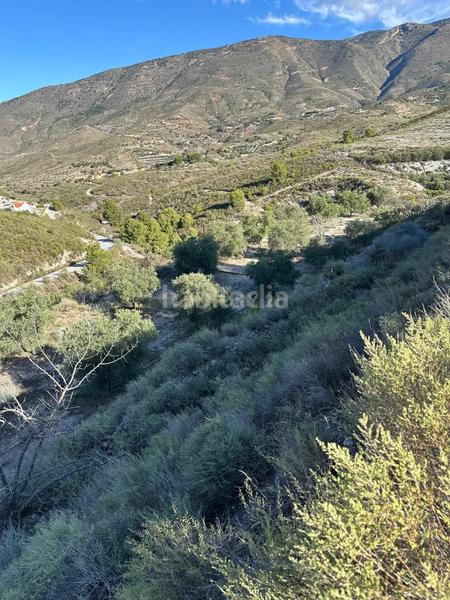 Foto 21c8cb90-d74e-4424-9d2a-ef4530f71f45. Landgut in polígono 13 parcela 750 in Vélez de Benaudalla