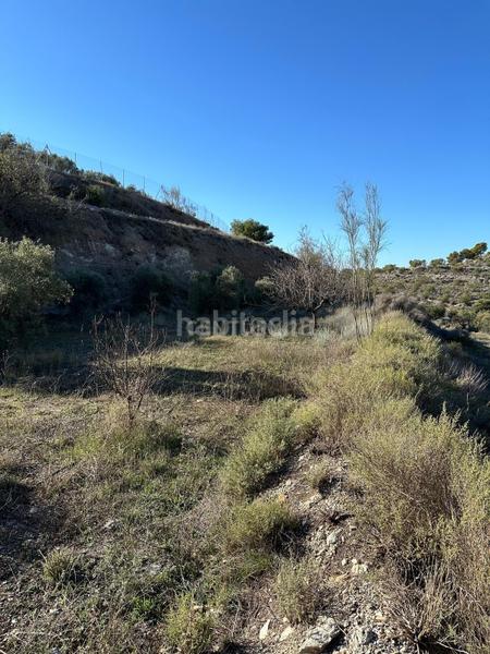 Foto 2c0a3d8b-7ff8-4714-9e17-a71fe1bee296. Landgut in polígono 13 parcela 750 in Vélez de Benaudalla