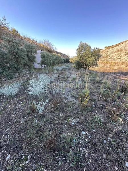 Foto 3f81a673-5055-4c54-a1cd-a6564e0733b2. Landgut in polígono 13 parcela 750 in Vélez de Benaudalla