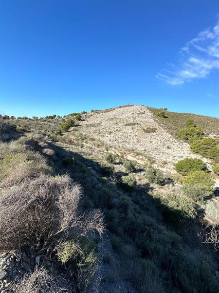 Foto 48c24a2c-56ea-4f27-8c9e-c9d9a70214d0. Landgut in polígono 13 parcela 750 in Vélez de Benaudalla