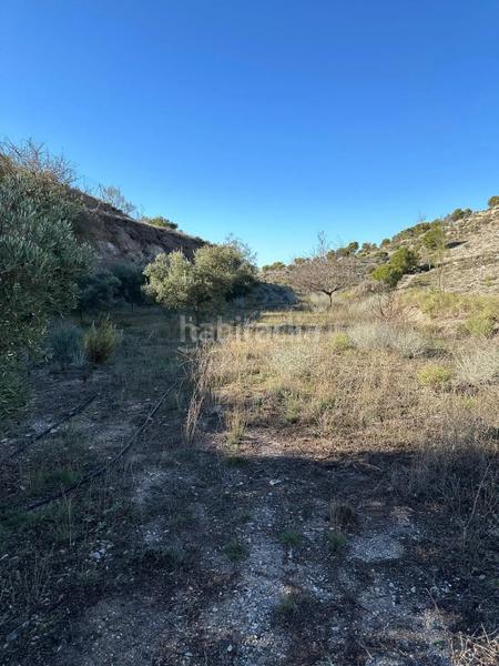 Foto 6a8427b8-0067-4674-a21a-4bbd6df8da9e. Landgut in polígono 13 parcela 750 in Vélez de Benaudalla