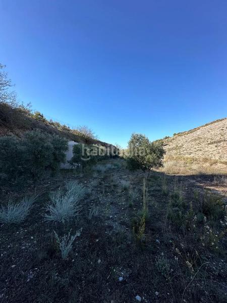 Foto 6d9b5962-1fb6-4735-b5f4-e2e3c6253852. Landgut in polígono 13 parcela 750 in Vélez de Benaudalla