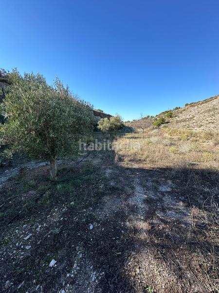 Foto 7c92c833-35a4-4c9a-8c63-0fef9593edcc. Landgut in polígono 13 parcela 750 in Vélez de Benaudalla