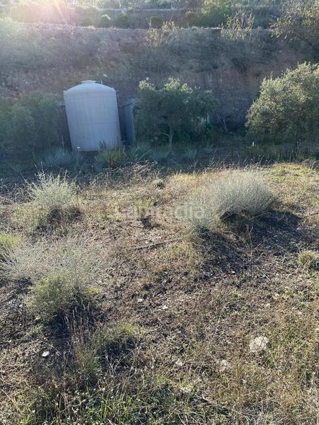 Foto 9621123f-7870-4886-92aa-48ce1fe4dec9. Landgut in polígono 13 parcela 750 in Vélez de Benaudalla