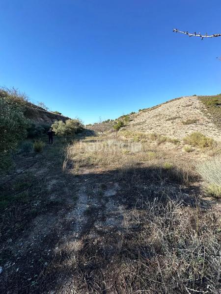 Foto ab02e08b-9956-49dd-9a12-f83f5393e272. Landgut in polígono 13 parcela 750 in Vélez de Benaudalla