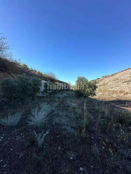 Foto b05c9428-0f74-44b0-b5ff-04b5de35f969. Landgut in polígono 13 parcela 750 in Vélez de Benaudalla